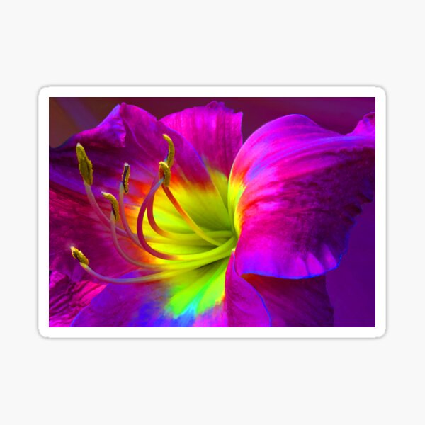 Glow Dance Sticker