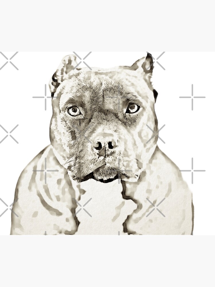 An Imposing Dog Of The American Bully Breed Stock Photo - Download