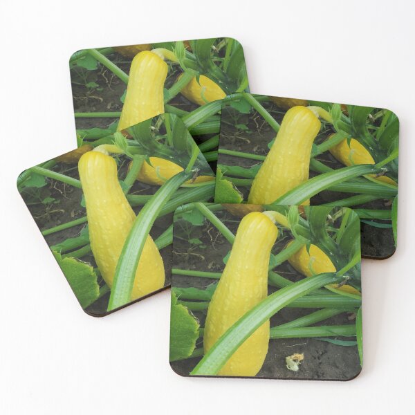 Item preview, Yellow Squash Harvest Photo designed and sold by Willyboy16.