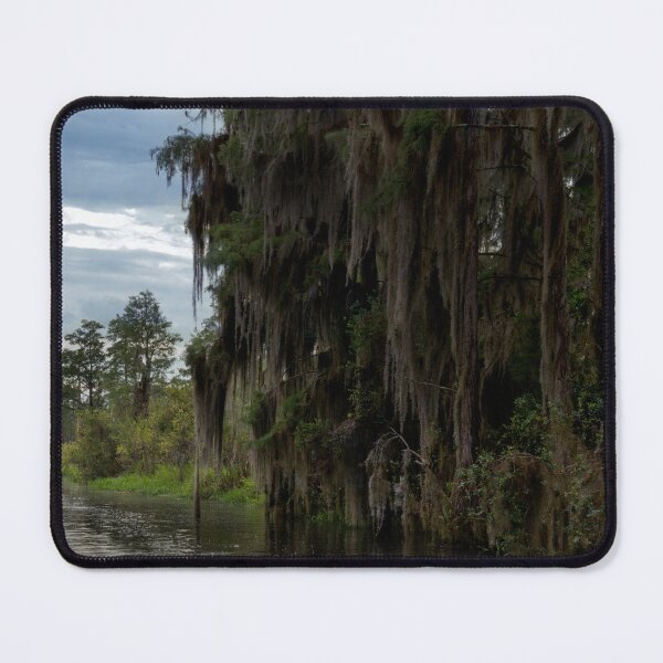 Item preview, Okefenokee Swamp Mossy Trees designed and sold by KbytesOfJax Outdoor and Nature.
