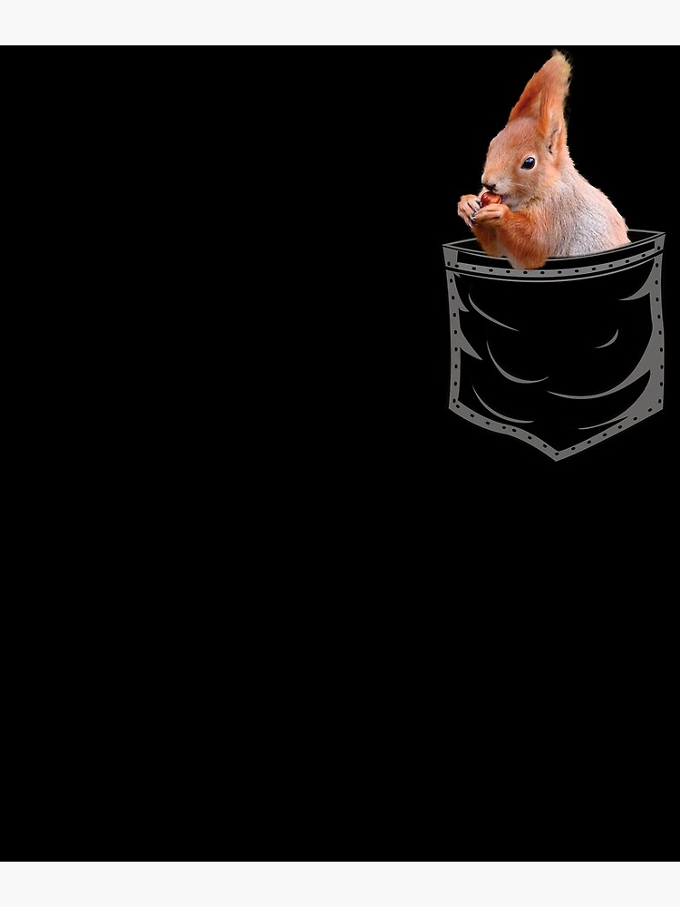 "Bearded Dragon Bearded Dragon Flip Off Agamas And Reptiles" Poster for