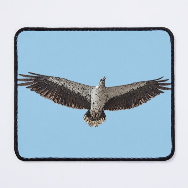 Item preview, A White Bellied Sea Eagle Color Design Painting Print designed and sold by designsasstultd.