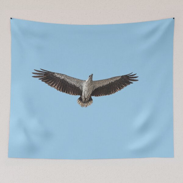 Item preview,  A White Bellied Sea Eagle Color Design Painting Print designed and sold by designsasstultd.