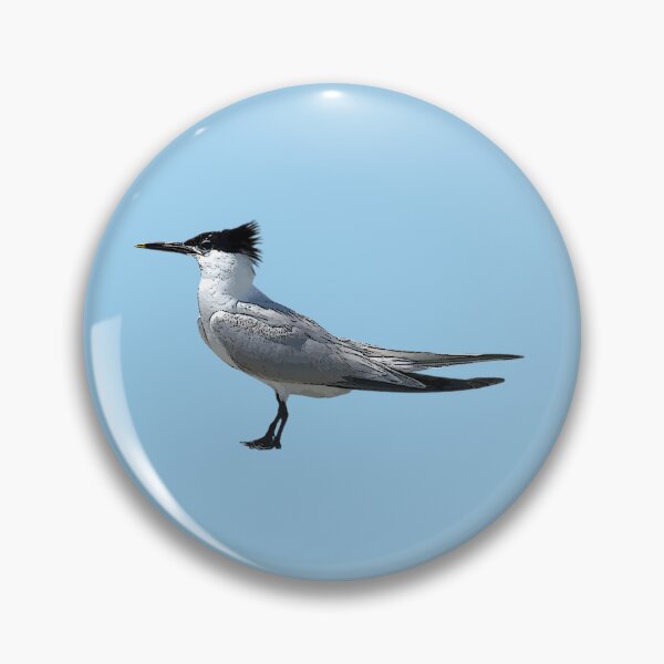 Item preview,  A Sandwich Tern Color Design Painting Print designed and sold by designsasstultd.