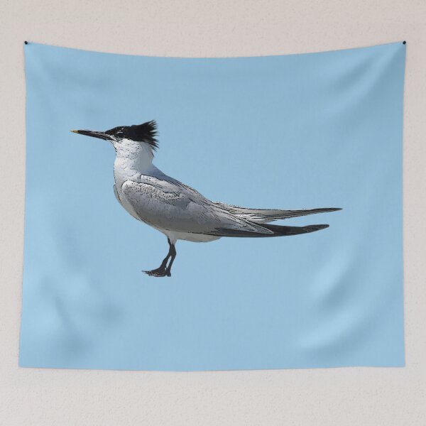 Item preview,  A Sandwich Tern Color Design Painting Print designed and sold by designsasstultd.
