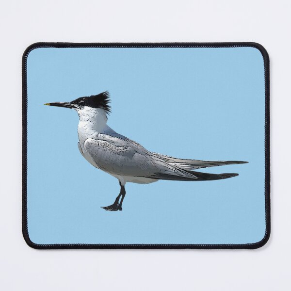 Item preview,  A Sandwich Tern Color Design Painting Print designed and sold by designsasstultd.