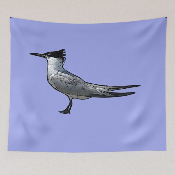Item preview,  A Sandwich Tern Black Alternate Design Painting Print designed and sold by designsasstultd.