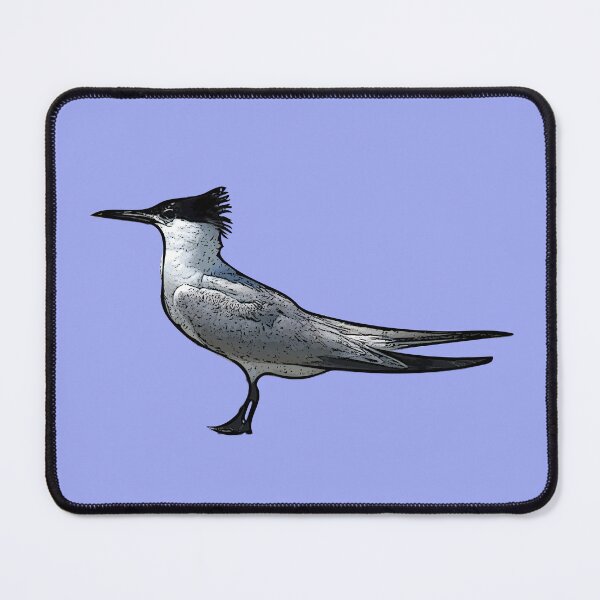 Item preview,  A Sandwich Tern Black Alternate Design Painting Print designed and sold by designsasstultd.