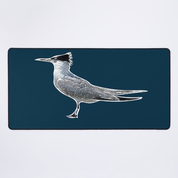 Item preview, A Sandwich Tern White Alternate Design Painting Print designed and sold by designsasstultd.