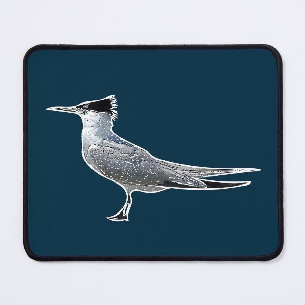 Item preview, A Sandwich Tern White Alternate Design Painting Print designed and sold by designsasstultd.
