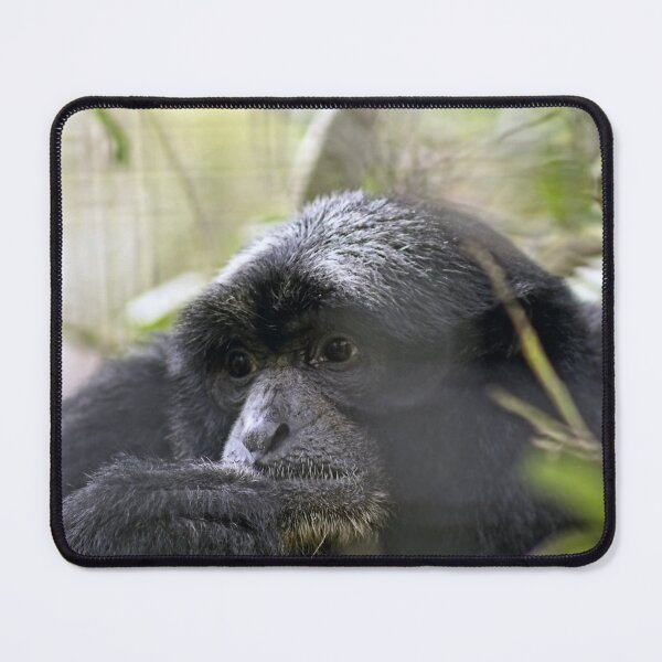 Item preview, Misty Monkey Daydreams designed and sold by KbytesOfJax Outdoor and Nature.