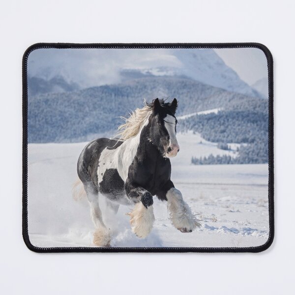 Item preview, Snowy Gypsy Vanner designed and sold by OryPhotography.