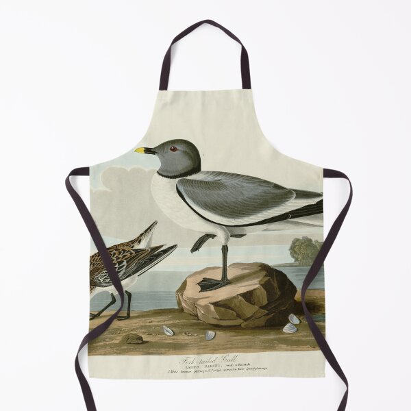 Item preview, Fork-tailed Gull by John James Audubon designed and sold by Natural History Prints.