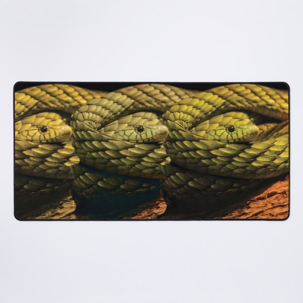 Item preview, Eye of Vengeance Green Mamba Snake designed and sold by KbytesOfJax Outdoor and Nature.