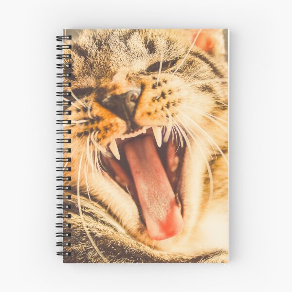 Item preview, Gato designed and sold by Amadej.