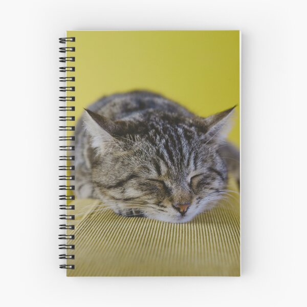 Item preview, Cat designed and sold by Amadej.