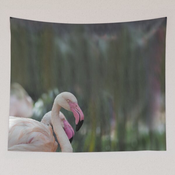 Aperçu de l'œuvre Une paire de flamants roses africains profite de la brume créée et vendue par KbytesOfJax Outdoor and Nature.
