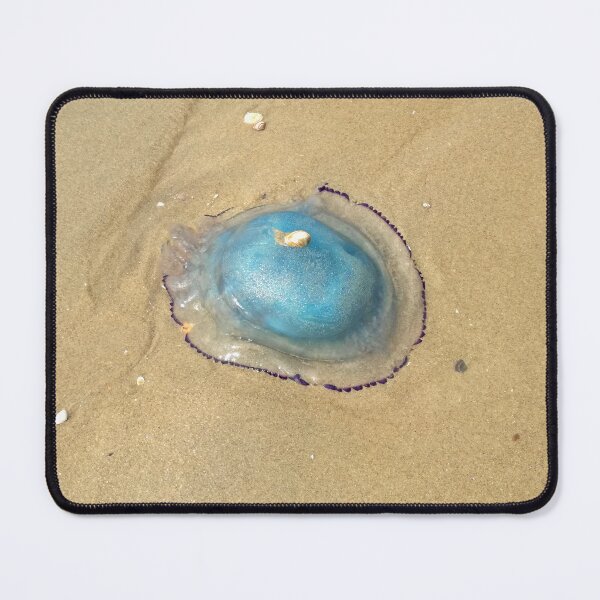 Item preview, Blue Jellyfish and little shell friend - Scheveningen Beach designed and sold by PurplePea319.