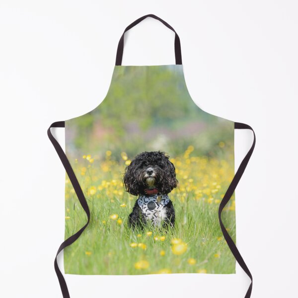 Item preview, Cavapoo in a Meadow designed and sold by Jane Stanley Photography.