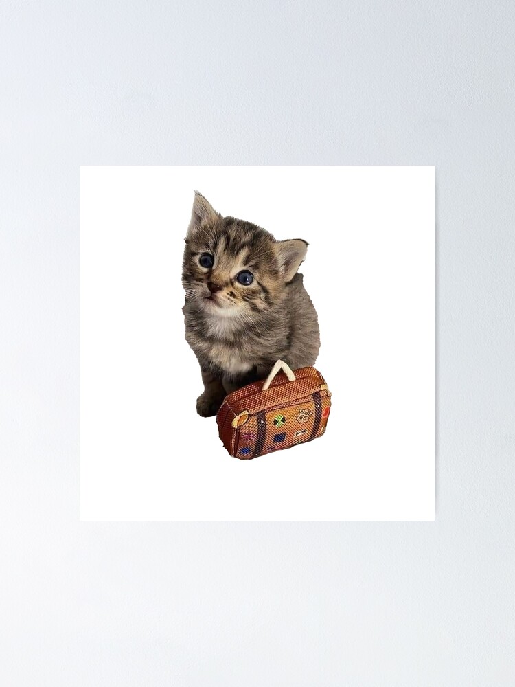 "Cat with a Suitcase Meme" Poster for Sale by JustAPairofLegs Redbubble