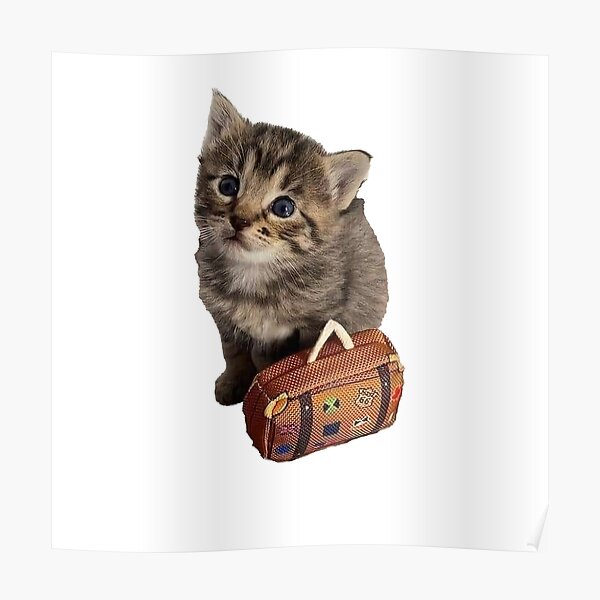"Cat with a Suitcase Meme" Poster for Sale by JustAPairofLegs Redbubble