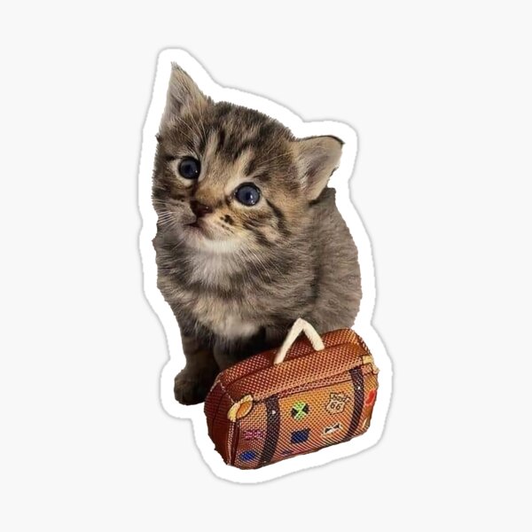 "Cat with a Suitcase Meme" Sticker for Sale by JustAPairofLegs Redbubble