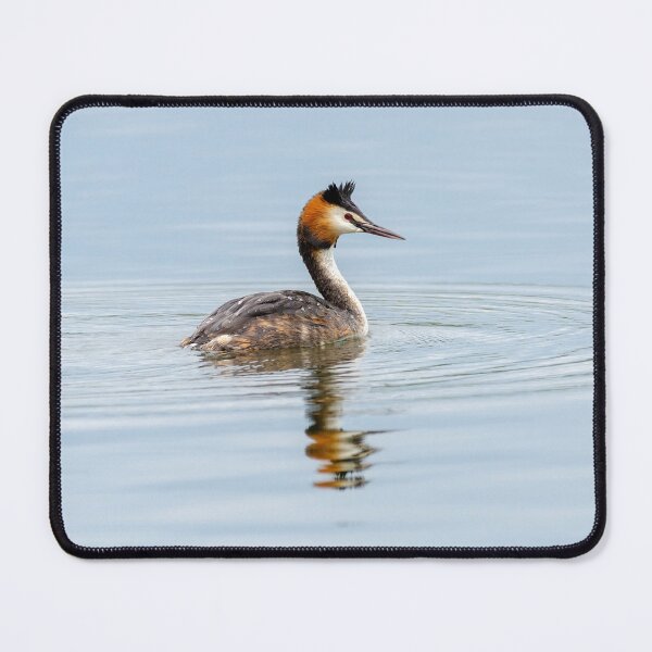 Item preview, Great Crested Grebe designed and sold by UKMatt2000.