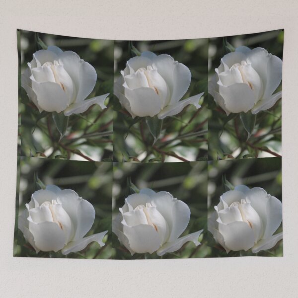 Item preview, pretty white rose flower. floral garden photography. designed and sold by naturematters.