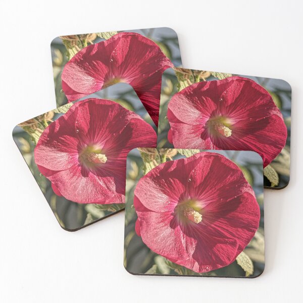 Item preview, Alcea Setosa Bristly Hollyhock designed and sold by SanArtcisco.