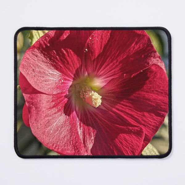 Item preview, Alcea Setosa Bristly Hollyhock designed and sold by SanArtcisco.