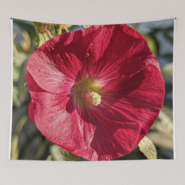 Item preview, Alcea Setosa Bristly Hollyhock designed and sold by SanArtcisco.