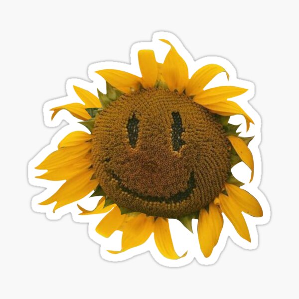 Smiley Face Stanley Charms – Sassy Sunflower Boutique LLC