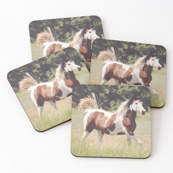 Item preview, Pinto Horse Running designed and sold by OryPhotography.