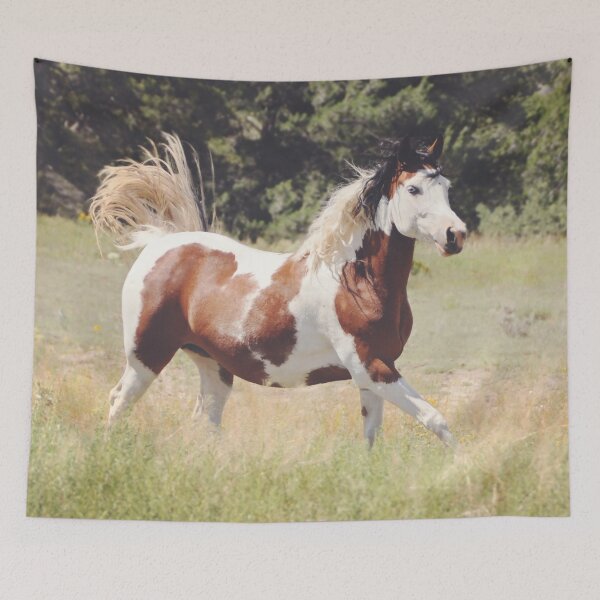 Aperçu de l'œuvre Cheval Pinto en cours d'exécution créée et vendue par OryPhotography.