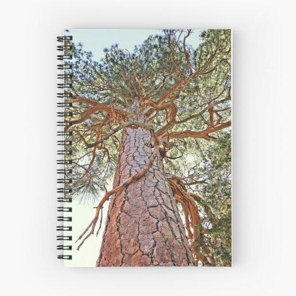 Item preview, View Up the Tree designed and sold by Jane Girardot.