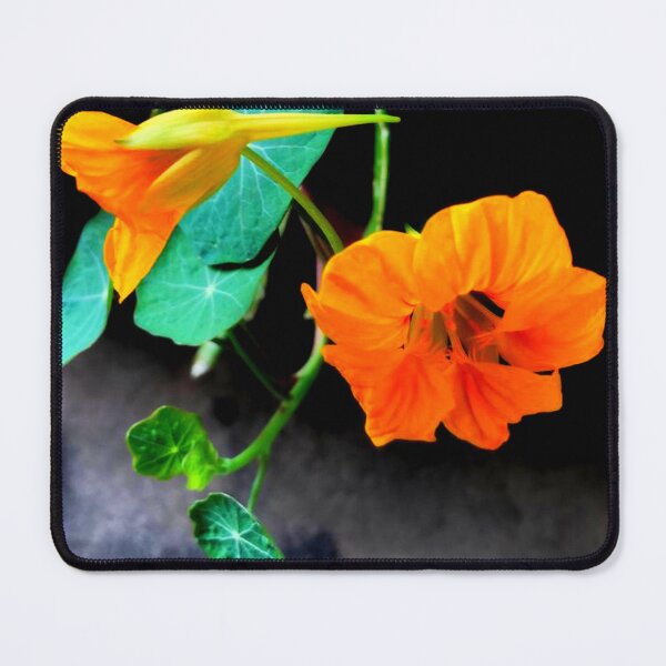 Item preview, Monks Cress in Pumpkin-Yellow-Orange colors by Iritof designed and sold by iritof.