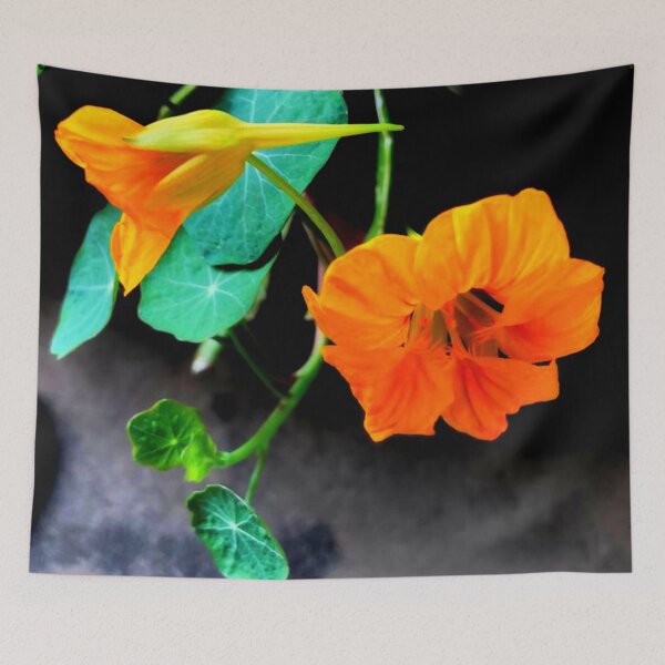 Item preview, Monks Cress in Pumpkin-Yellow-Orange colors by Iritof designed and sold by iritof.