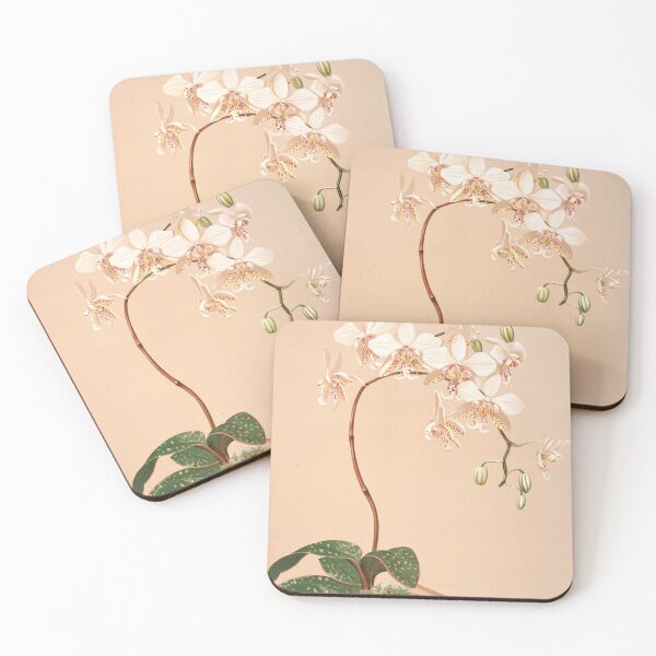 Item preview, Moth Orchid designed and sold by Twisted Wick.