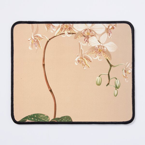 Item preview, Moth Orchid designed and sold by Twisted Wick.