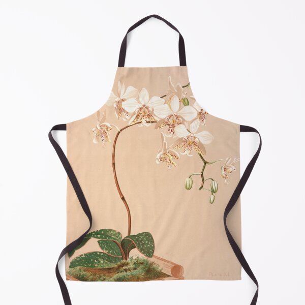 Item preview, Moth Orchid designed and sold by Twisted Wick.