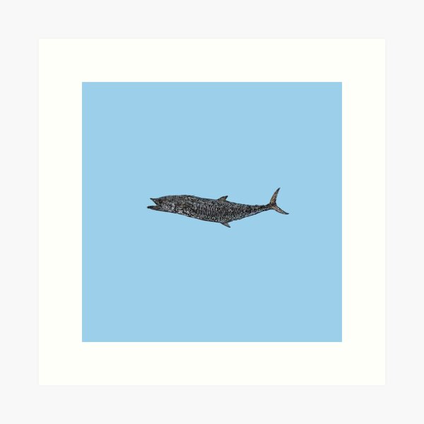 Kingfish Fishing Art Print Gift for a Fisherman, Fish Painting, Fish Art,  King Mackerel Fishing Art, Hand-signed by the Artist -  Sweden