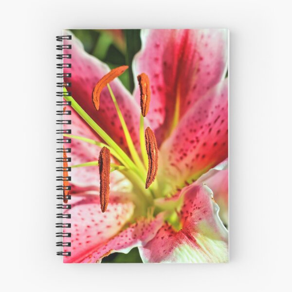 Item preview, Stargazer Lily designed and sold by Jane Girardot.