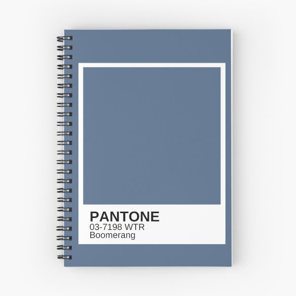 Aperçu de l'œuvre BOOMERANG Pantone Dupe créée et vendue par rowrowrowurboat.