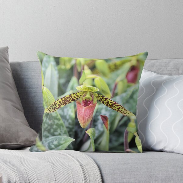 Artikelvorschau, Orchidee entworfen und verkauft von Jane Girardot.
