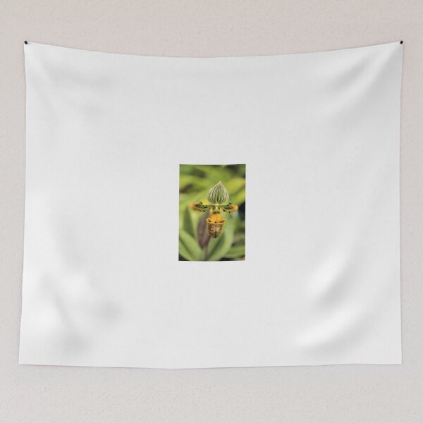 Item preview, Orchid designed and sold by Jane Girardot.