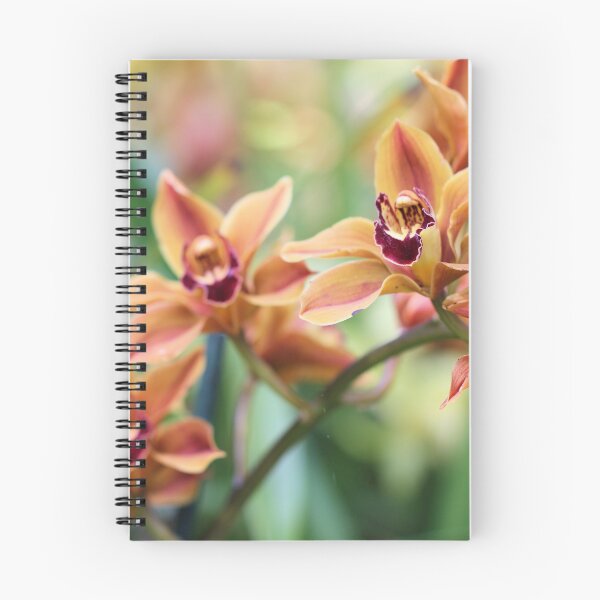 Item preview, Orchids designed and sold by Jane Girardot.