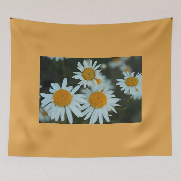 Item preview, Pretty white daisy flowers  designed and sold by naturematters.