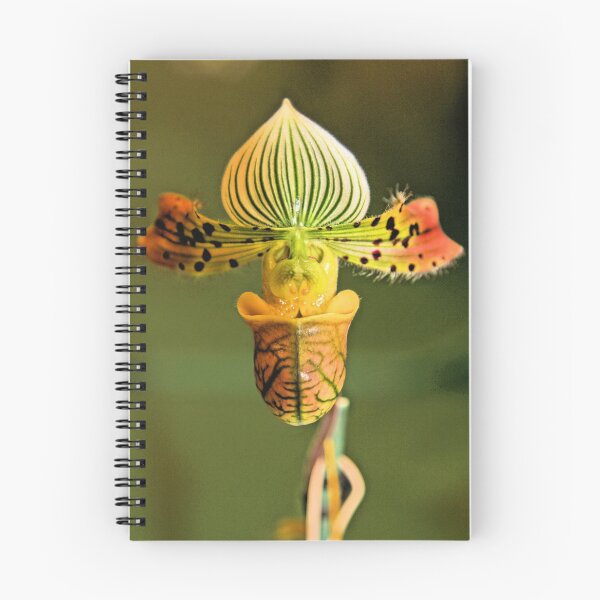 Item preview, Orquídea designed and sold by Jane Girardot.