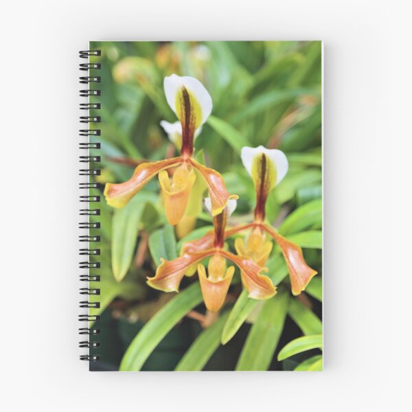 Item preview, Orquídeas designed and sold by Jane Girardot.