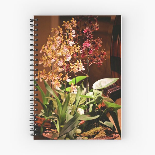 Item preview, Orchid Arrangement designed and sold by Jane Girardot.